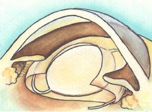 ��������Y��ڂ̒��ɓ���܂�